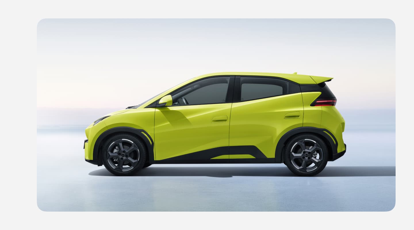 BYD Dolphin Surf / Seagull