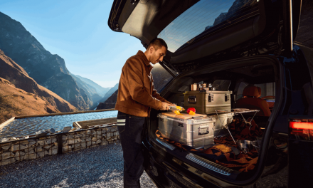 China E-Autos mit bidirektionalem Laden