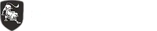 DFM Forthing