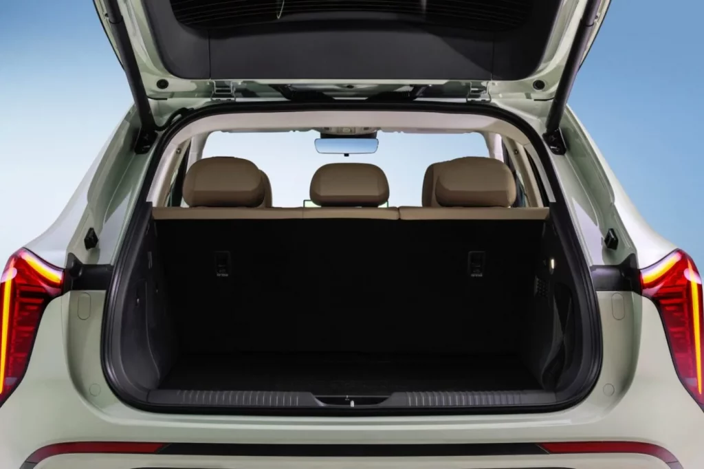 Hongqi EHS5 Kofferraum