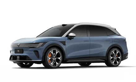 Import China-E-Auto aus EU-Ländern nach Deutschland